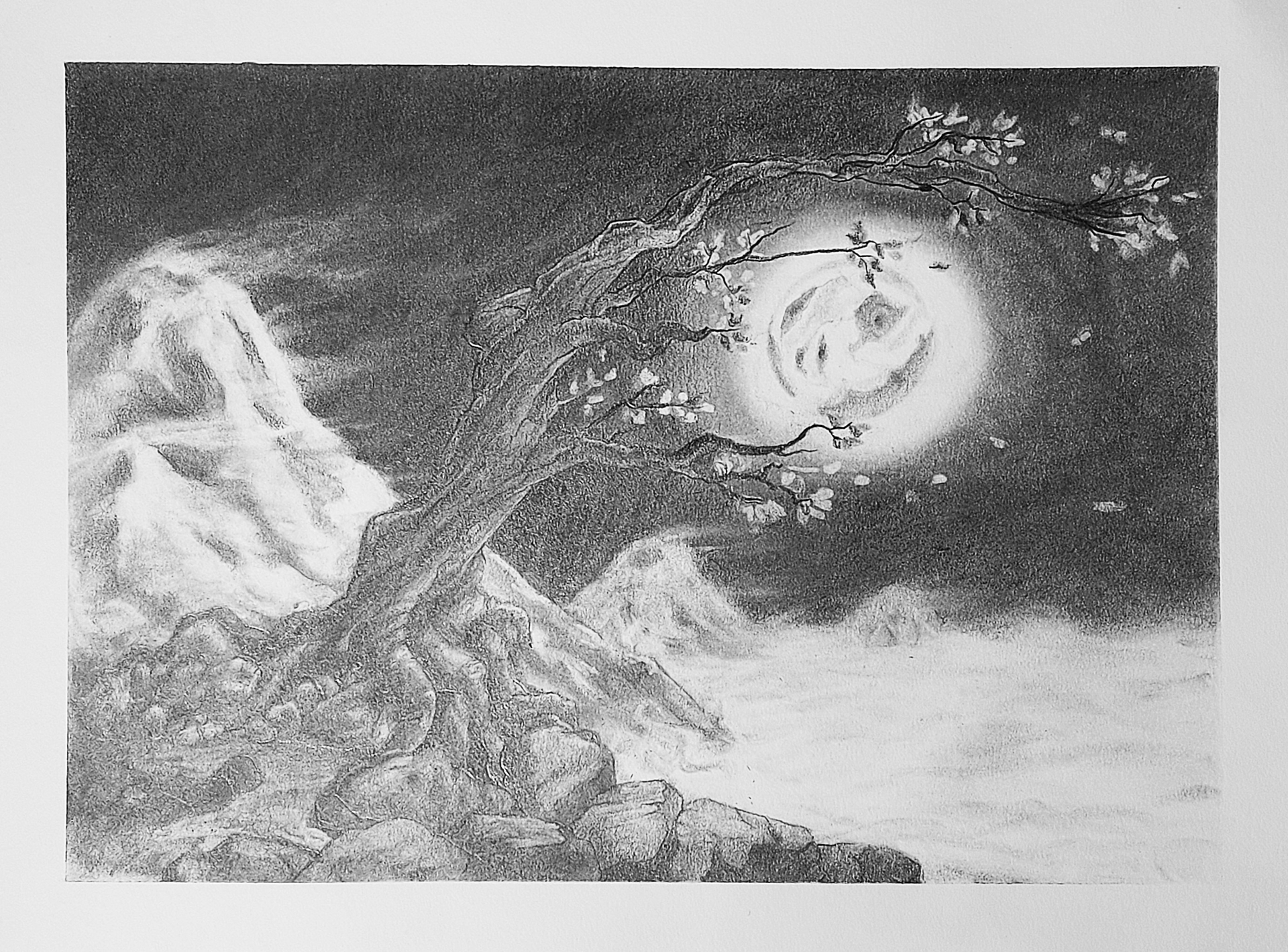 Silhouette of tree with raven against moonlit sky